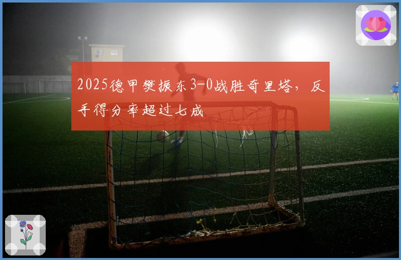 2025德甲樊振东3-0战胜奇里塔，反手得分率超过七成