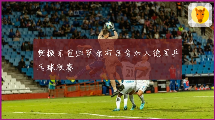 樊振东重归萨尔布吕肯加入德国乒乓球联赛