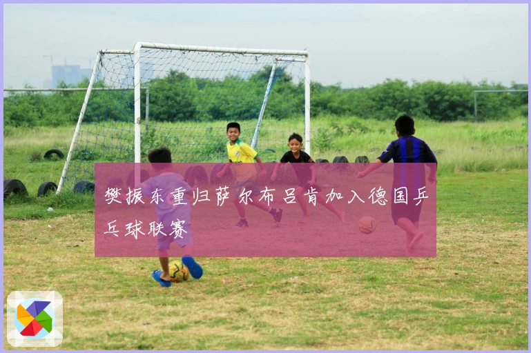 樊振东重归萨尔布吕肯加入德国乒乓球联赛